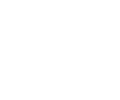 blueparrot