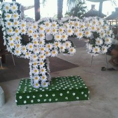 testImage-125
